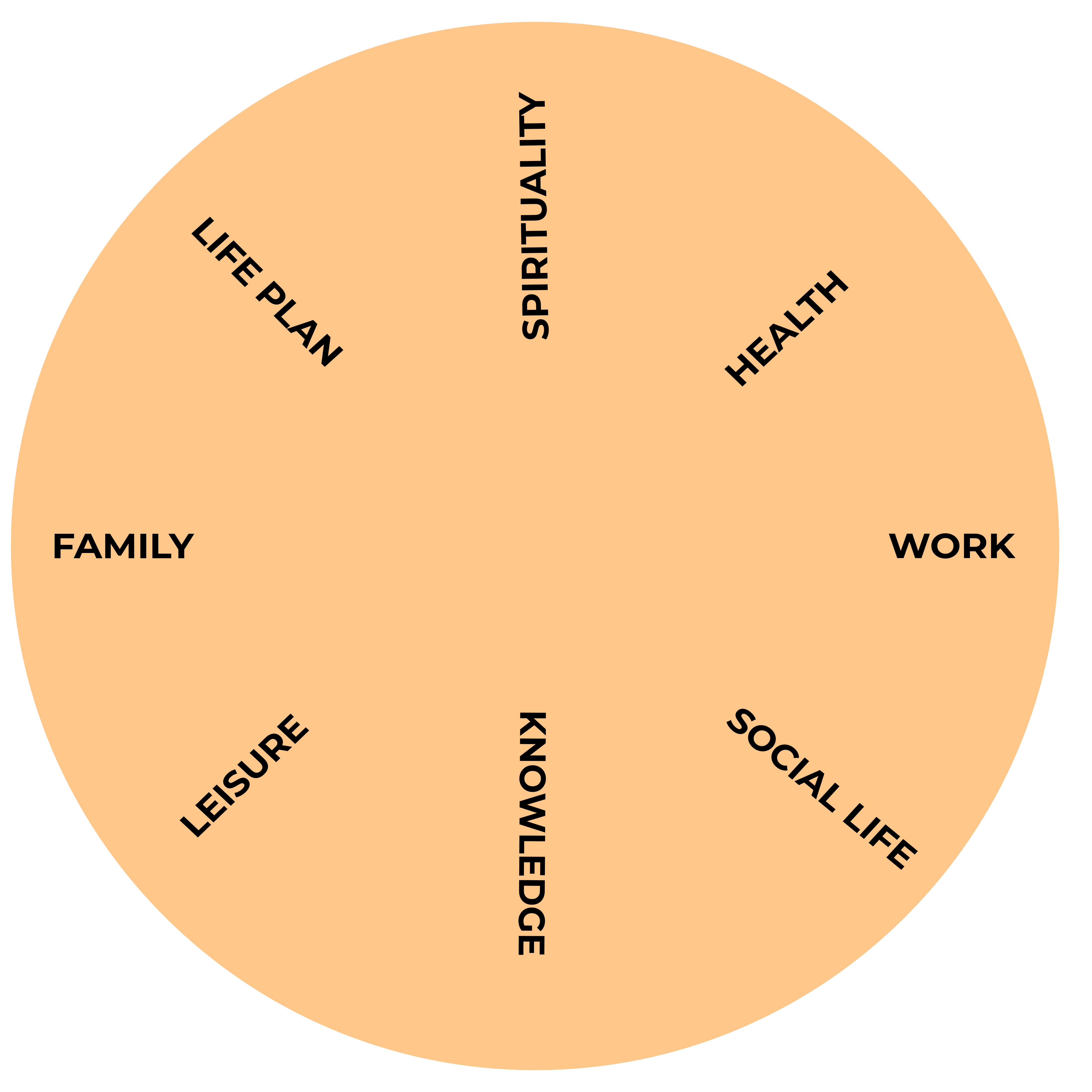 Life Balance Wheel for High Performance